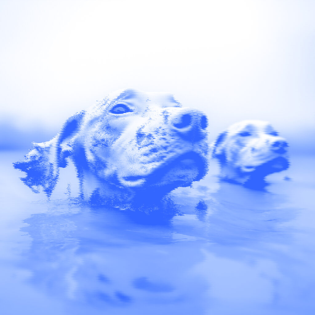 visuel-cinema-vr-demo-damned-condamnes-nataliya-velykanova-2026-carre